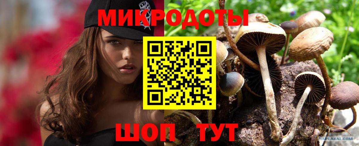Джанкой  Галлюциногенные грибы прущие грибы  Вход с VPN 