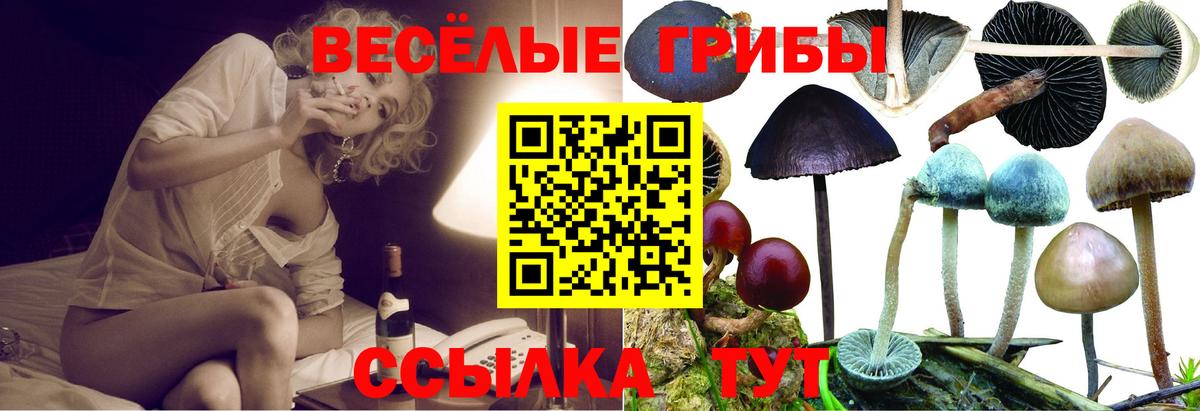 Галлюциногенные грибы Magic Shrooms Джанкой